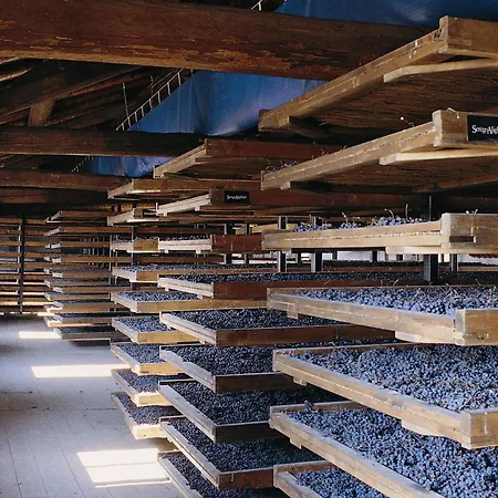 La Foresteria Serego Alighieri Sant'Ambrogio di Valpolicella